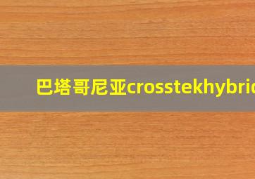 巴塔哥尼亚crosstekhybrid