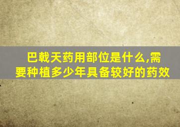 巴戟天药用部位是什么,需要种植多少年具备较好的药效