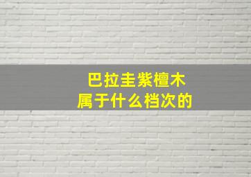 巴拉圭紫檀木属于什么档次的