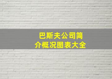 巴斯夫公司简介概况图表大全