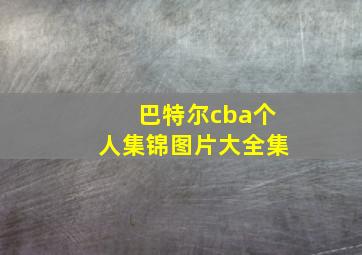 巴特尔cba个人集锦图片大全集