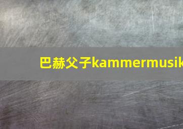 巴赫父子kammermusik