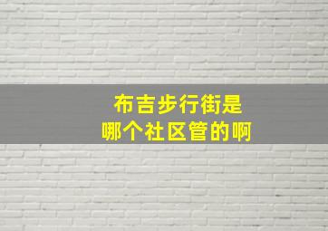 布吉步行街是哪个社区管的啊