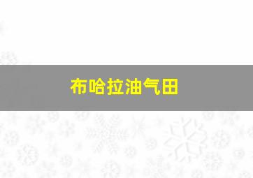 布哈拉油气田