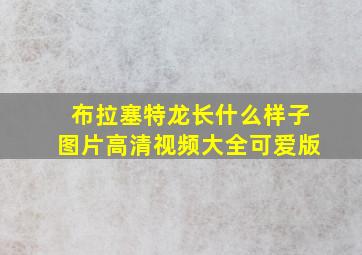 布拉塞特龙长什么样子图片高清视频大全可爱版