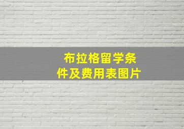 布拉格留学条件及费用表图片