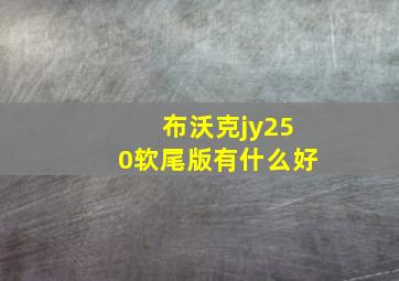 布沃克jy250软尾版有什么好