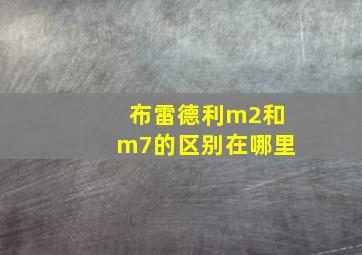 布雷德利m2和m7的区别在哪里