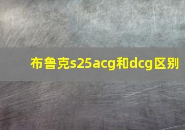 布鲁克s25acg和dcg区别