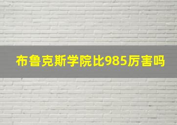 布鲁克斯学院比985厉害吗