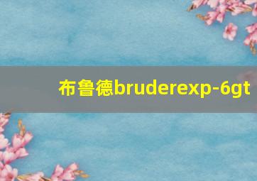 布鲁德bruderexp-6gt