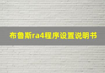 布鲁斯ra4程序设置说明书