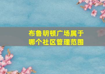 布鲁明顿广场属于哪个社区管理范围