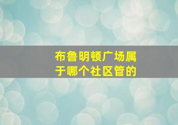 布鲁明顿广场属于哪个社区管的