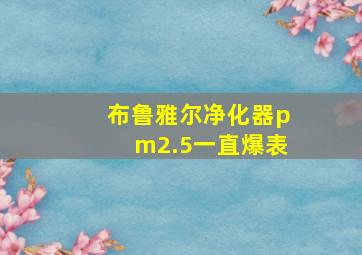 布鲁雅尔净化器pm2.5一直爆表