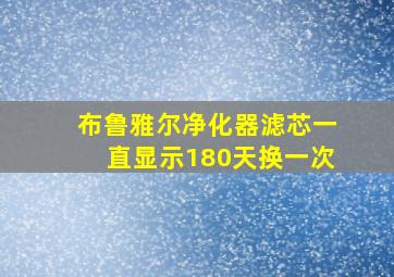 布鲁雅尔净化器滤芯一直显示180天换一次