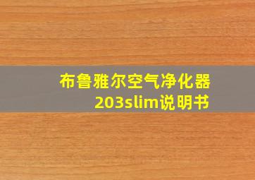 布鲁雅尔空气净化器203slim说明书