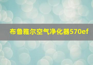 布鲁雅尔空气净化器570ef