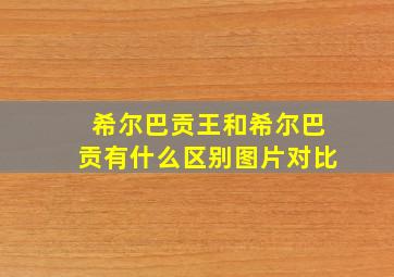 希尔巴贡王和希尔巴贡有什么区别图片对比