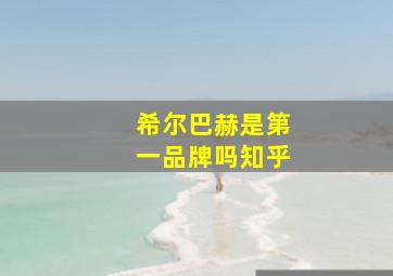 希尔巴赫是第一品牌吗知乎