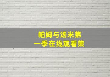 帕姆与汤米第一季在线观看策