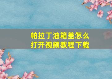 帕拉丁油箱盖怎么打开视频教程下载