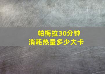 帕梅拉30分钟消耗热量多少大卡