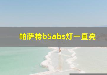 帕萨特b5abs灯一直亮