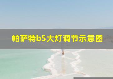 帕萨特b5大灯调节示意图