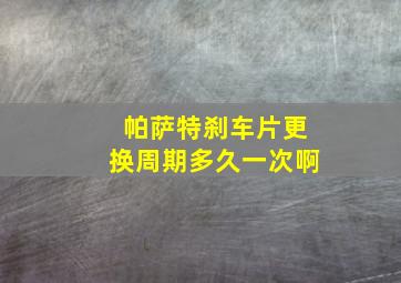 帕萨特刹车片更换周期多久一次啊