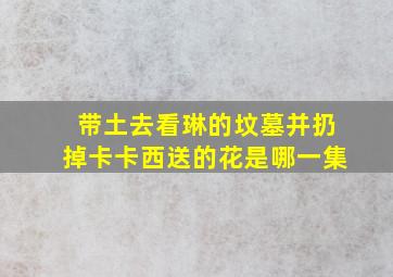 带土去看琳的坟墓并扔掉卡卡西送的花是哪一集