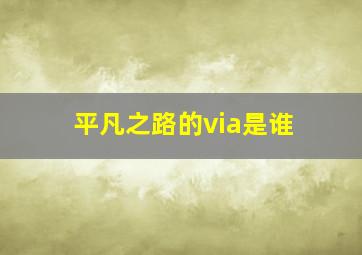 平凡之路的via是谁