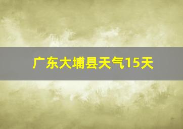 广东大埔县天气15天