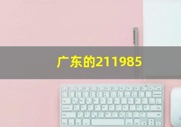 广东的211985