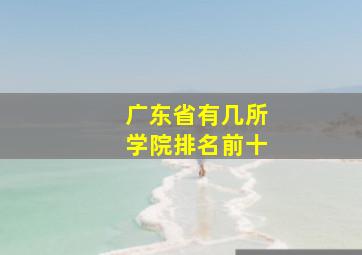 广东省有几所学院排名前十