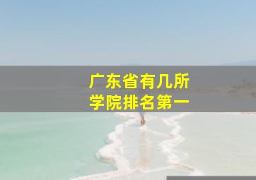 广东省有几所学院排名第一