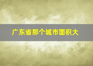 广东省那个城市面积大