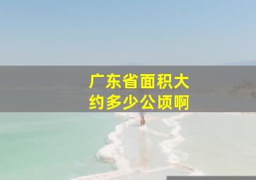 广东省面积大约多少公顷啊