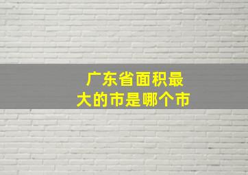 广东省面积最大的市是哪个市