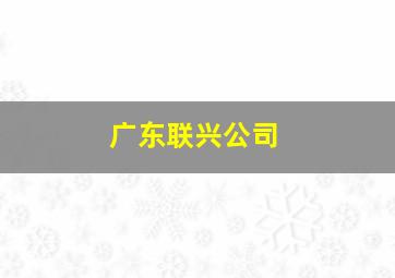 广东联兴公司