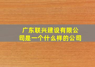 广东联兴建设有限公司是一个什么样的公司