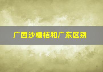 广西沙糖桔和广东区别