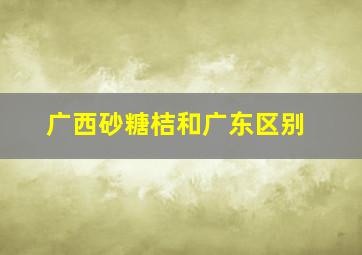 广西砂糖桔和广东区别