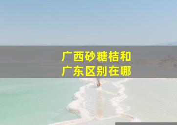 广西砂糖桔和广东区别在哪