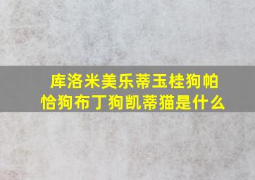 库洛米美乐蒂玉桂狗帕恰狗布丁狗凯蒂猫是什么