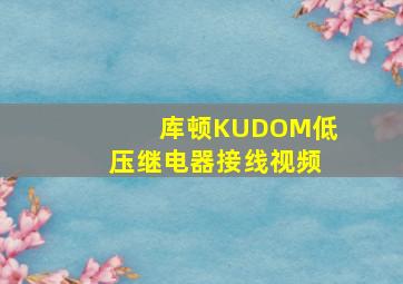 库顿KUDOM低压继电器接线视频