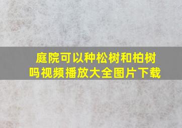 庭院可以种松树和柏树吗视频播放大全图片下载