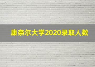 康奈尔大学2020录取人数