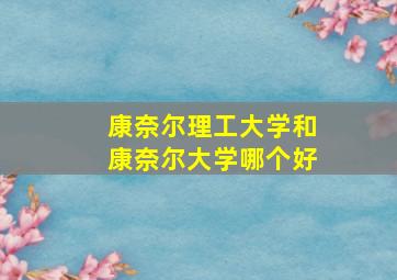 康奈尔理工大学和康奈尔大学哪个好