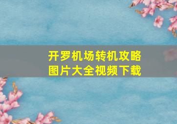 开罗机场转机攻略图片大全视频下载